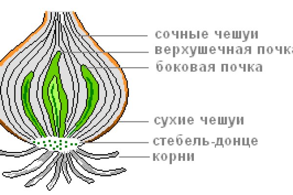 Hydra com зеркало